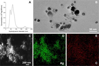 Interaction of Silver-Lignin Nanoparticles With Mammalian Mimetic Membranes